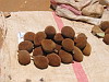 fruits du baobab