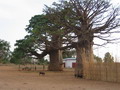 photos et images village de befandriana, images de tous les jours