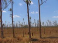 madagascar-tulear-morombe-befandriana