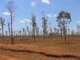 madagascar-tulear-morombe-befandriana