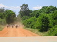 madagascar-tulear-morombe-befandriana