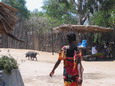 madagascar-tulear-morombe-befandriana