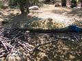 madagascar-tulear-morombe-befandriana