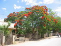 madagascar-tulear-morombe-befandriana