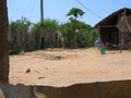 madagascar