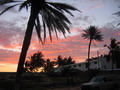 madagascar