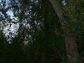 madagascar-tulear-morombe-befandriana