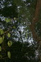 madagascar-tulear-morombe-befandriana