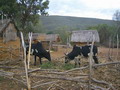 madagascar-tulear-morombe-befandriana