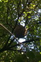 madagascar-tulear-morombe-befandriana