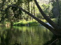 madagascar-tulear-morombe-befandriana