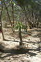 madagascar-tulear-morombe-befandriana
