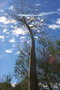 madagascar-tulear-morombe-befandriana