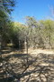 madagascar-tulear-morombe-befandriana
