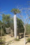 madagascar-tulear-morombe-befandriana