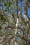 madagascar-tulear-morombe-befandriana