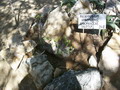 madagascar-tulear-morombe-befandriana