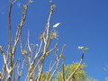 madagascar-tulear-morombe-befandriana