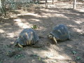 madagascar-tulear-morombe-befandriana