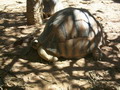 madagascar-tulear-morombe-befandriana