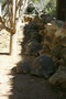 madagascar-tulear-morombe-befandriana